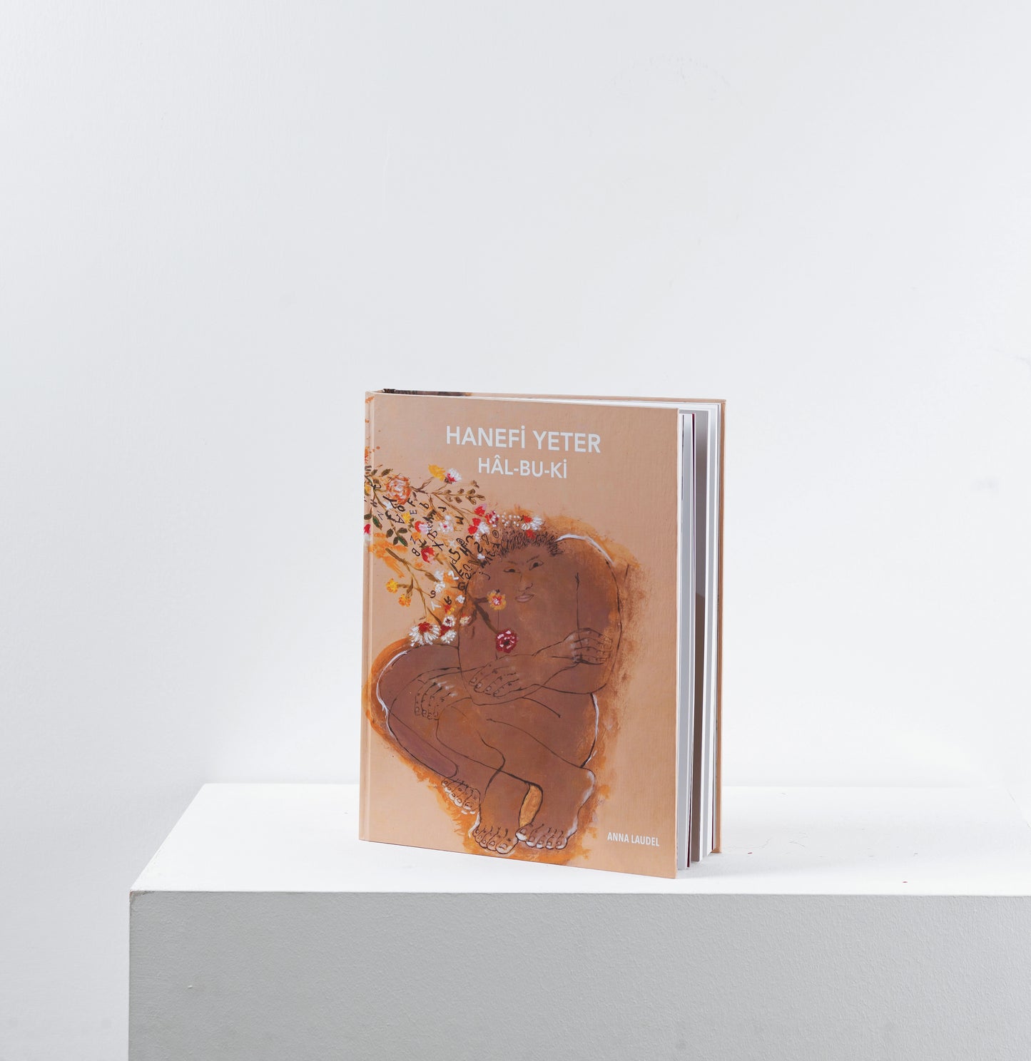 Hâl-Bu-Ki / Suret ile Sır