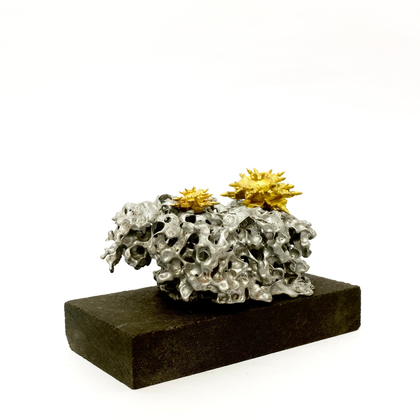 Görünmez Kentler Mercan Serisi / Invisible Cities Coral Series