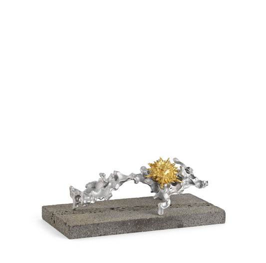 Görünmez Kentler Mercan Serisi / Invisible Cities Coral Series