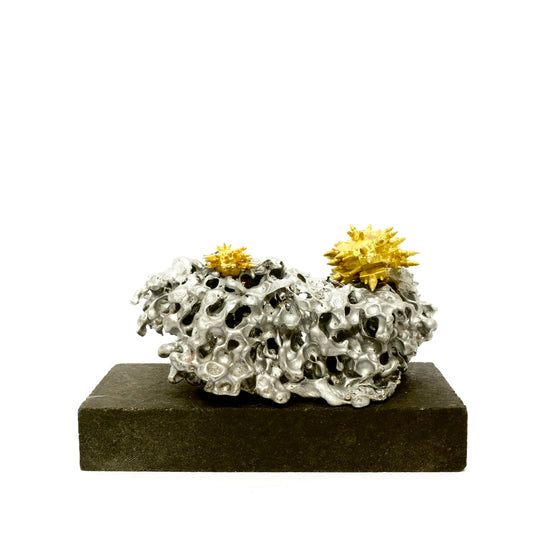 Görünmez Kentler Mercan Serisi / Invisible Cities Coral Series