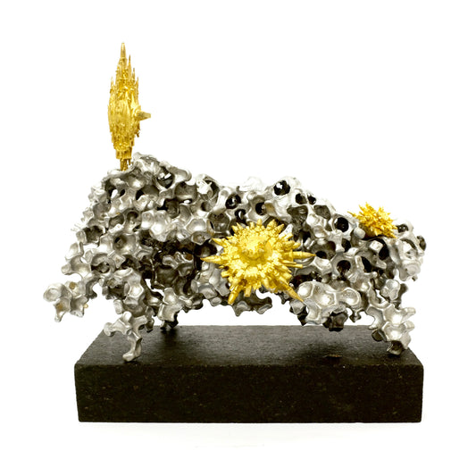 Görünmez Kentler Mercan Serisi / Invisible Cities Coral Series