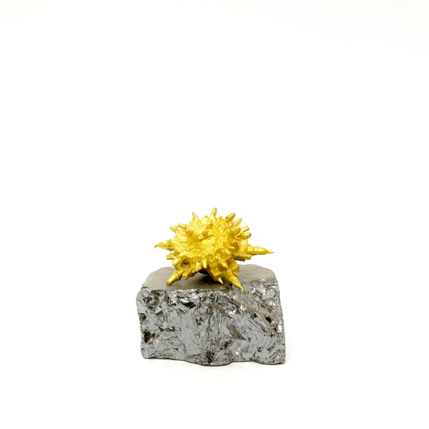 Görünmez Kentler Mercan Serisi / Invisible Cities Coral Series