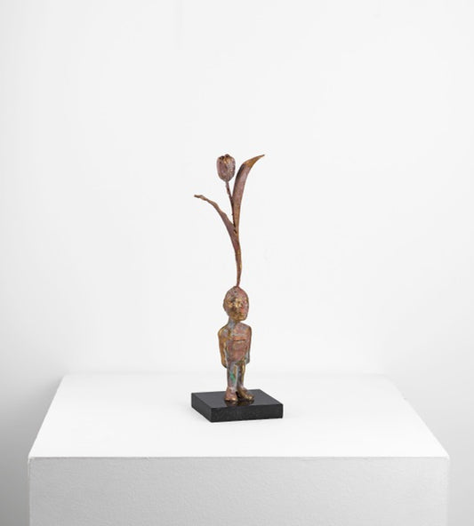 Aşı Serisi / Vaccination Series