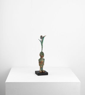 Aşı Serisi / Vaccination Series