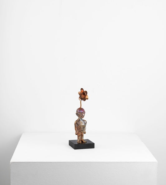 Aşı Serisi / Vaccination Series