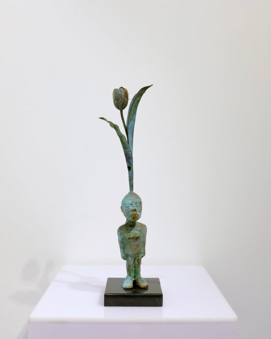 Aşı Serisi / Vaccination Series