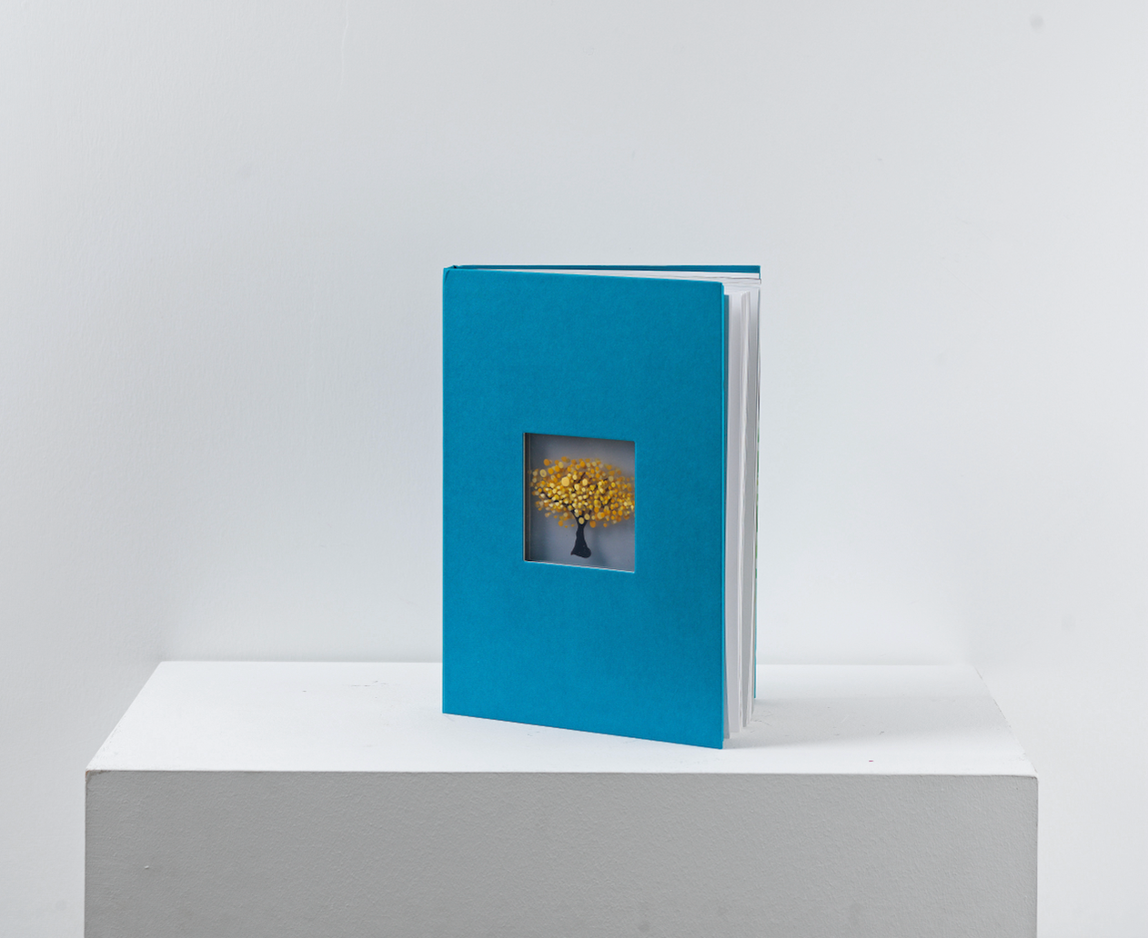 Looking Through The Glass