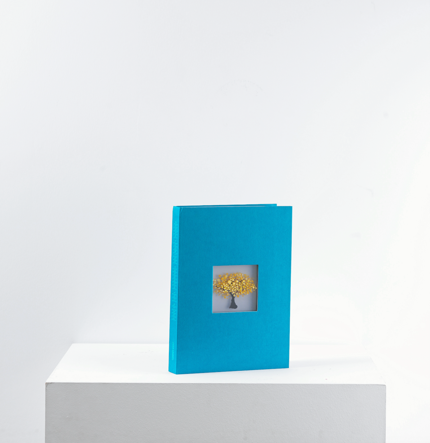 Looking Through The Glass