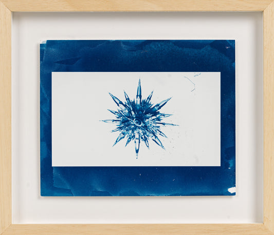 Diomira Serisi / Diomira Series